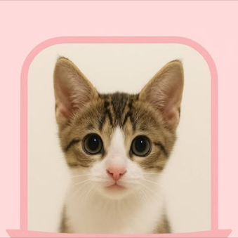 Main kitten image
